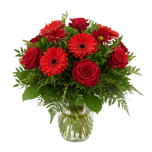 Passion Rouge mellanstorlek