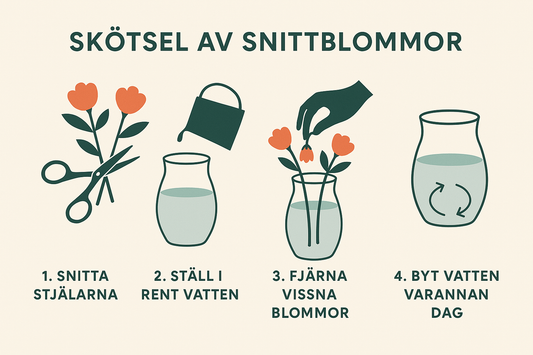 Skötsel & Hållbarhet