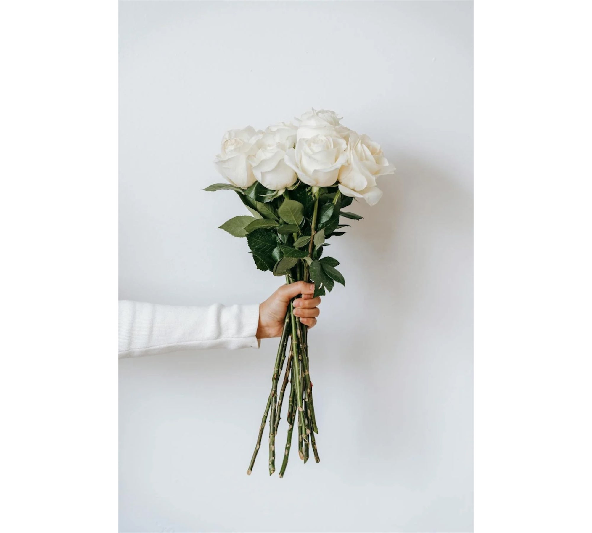 Vi förmedlar ditt blombud med rosor- Skicka med Netflora.