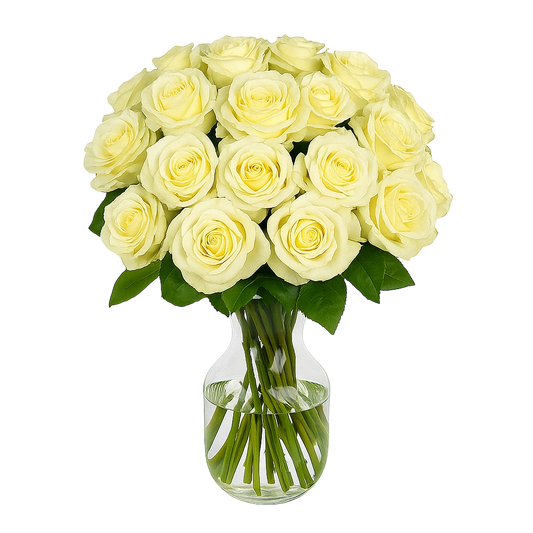 vita rosor bukett – Netflora; vit rosor – elegant bukett