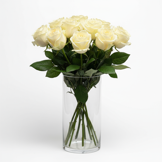 Krämfärgade rosor produktfoto