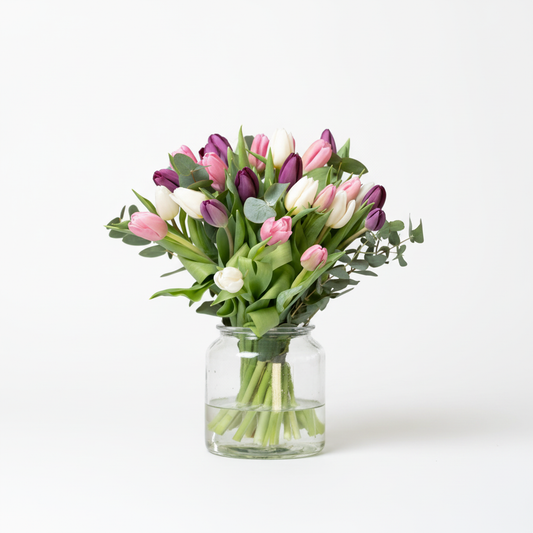 Tulpandröm bukett med vit bakgrund